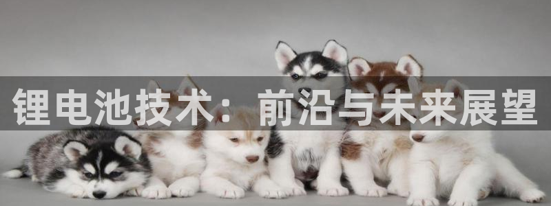 TP钱包中国苹果能下载吗：锂电池技术：前沿与未来展望