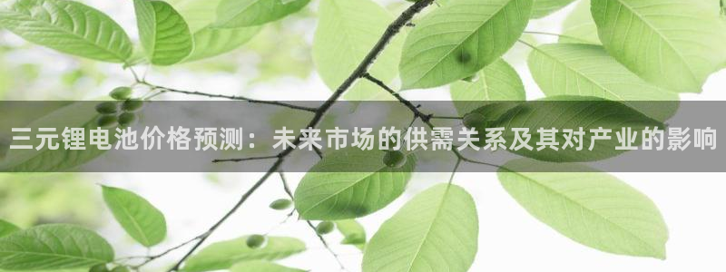 tp钱包id在哪里：三元锂电池价格预测：未来市场的供需关系及其对产业的影响