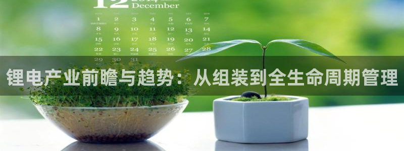 tp钱包安卓：锂电产业前瞻与趋势：从组装到全生命周期管理
