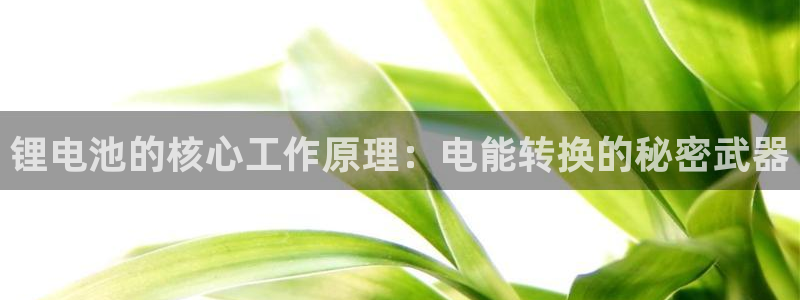tp钱包插件：锂电池的核心工作原理：电能转换的秘密武器