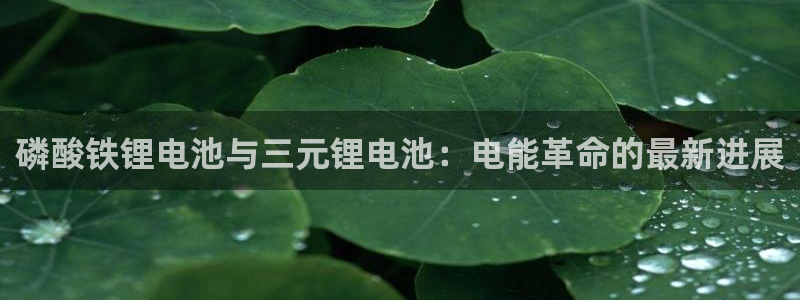 tp钱包流动性挖矿：磷酸铁锂电池与三元锂电池：电能革命的最新进展