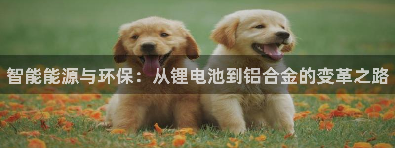 tp钱包盗取：智能能源与环保：从锂电池到铝合金的变革之路