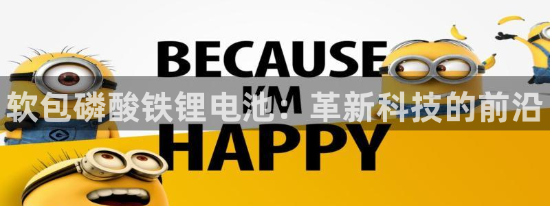 tp钱包中文名：软包磷酸铁锂电池：革新科技的前沿