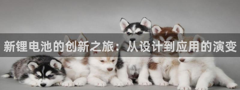 tp钱包上怎么切换以太网络：新锂电池的创新之旅：从设计到应用的演变