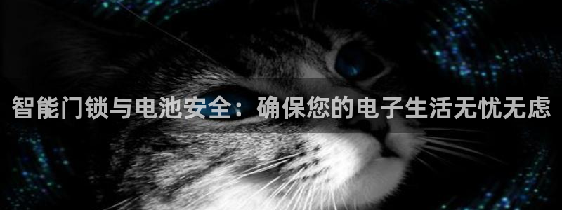 tp钱包取消授权操作教程：智能门锁与电池安全：确保您的电子生活无忧无虑