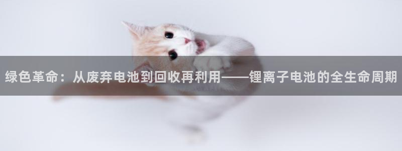 tp钱包助记词忘了怎么找回：绿色革命：从废弃电池到回收再利用——锂离子电池的全生命周期