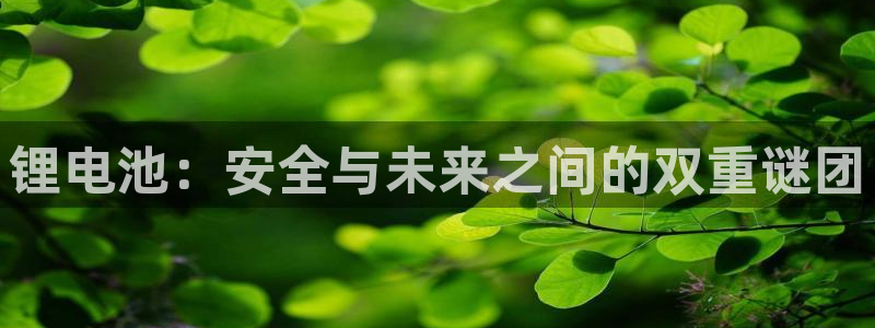 tp钱包创建bsc：锂电池：安全与未来之间的双重谜团