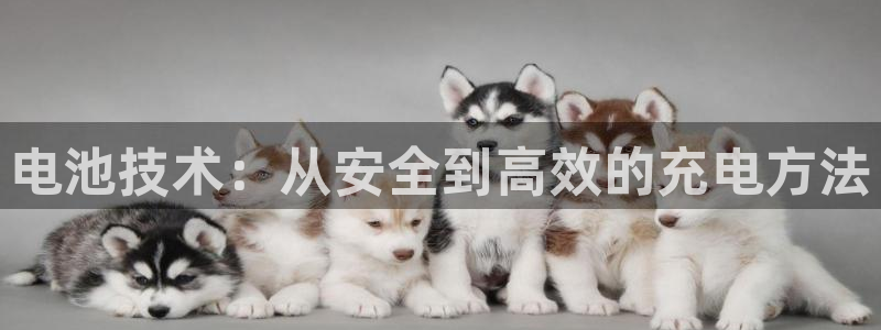 tp钱包里的币怎么卖出：电池技术：从安全