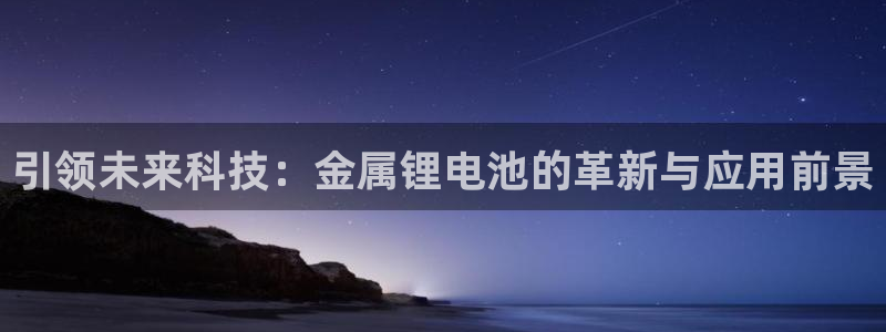 tp钱包授权查询：引领未来科技：金属锂电池的革新与应用前景