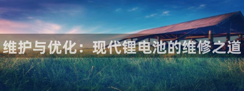 TP钱包被盗平台给补偿吗：维护与优化：现